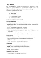 Verslo plano struktūra ir turinys 5 puslapis