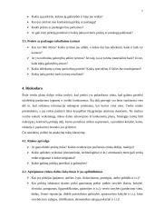 Verslo plano struktūra ir turinys 6 puslapis