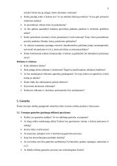 Verslo plano struktūra ir turinys 8 puslapis