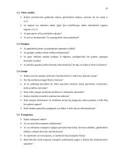 Verslo plano struktūra ir turinys 9 puslapis