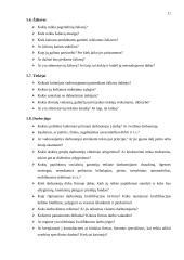 Verslo plano struktūra ir turinys 10 puslapis