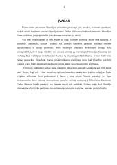 Kas yra filosofija: kilmė, prigimtis, reikšmė 3 puslapis