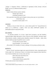 Krikščioniškieji elementai K. Bradūno poezijoje 3 puslapis