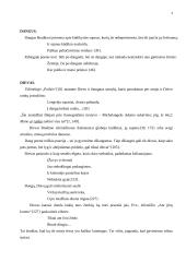 Krikščioniškieji elementai K. Bradūno poezijoje 4 puslapis