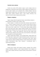 Centrinės nervų sistemos sandara 3 puslapis
