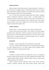 Centrinės nervų sistemos sandara 4 puslapis