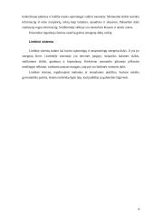 Centrinės nervų sistemos sandara 5 puslapis
