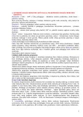 Dailės didaktika 2 puslapis