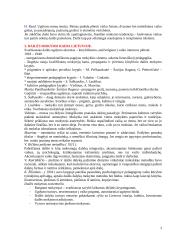 Dailės didaktika 3 puslapis