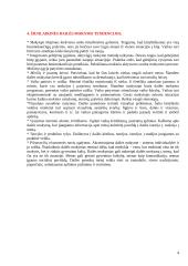 Dailės didaktika 4 puslapis