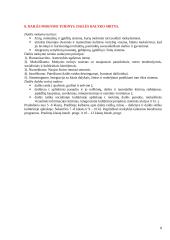 Dailės didaktika 8 puslapis