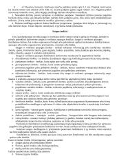 Darbo higienos reikalavimai 7 puslapis