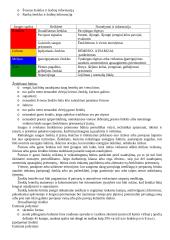 Darbo higienos reikalavimai 8 puslapis