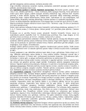 Žmonių darbų sauga 11 puslapis