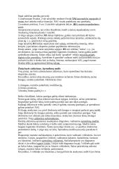 Dirbtinio intelekto teorija 13 puslapis