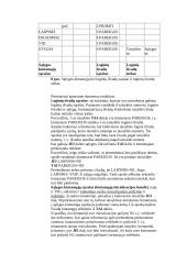 Dirbtinio intelekto teorija 17 puslapis