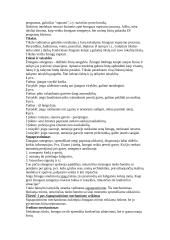 Dirbtinio intelekto teorija 3 puslapis