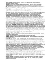 Edukologijos sąvokos 6 puslapis