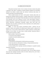 Svarbiausios ekonomikos temos 3 puslapis