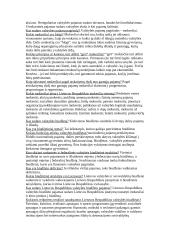 Ekonomikos klausimai su atsakymais 5 puslapis