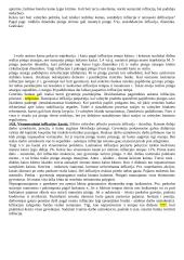 Nedarbas, pinigai ir infliacija 5 puslapis