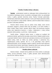 Ekonomikos pagrindai - esminės temos 3 puslapis