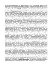 Teorija apie elektrą 2 puslapis