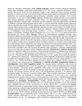 Teorija apie elektrą 12 puslapis