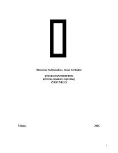 Energoentropinis ontologijos sąvokų žodynėlis