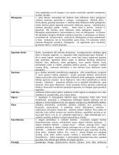Energoentropinis ontologijos sąvokų žodynėlis 11 puslapis