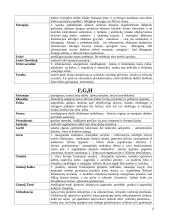 Energoentropinis ontologijos sąvokų žodynėlis 12 puslapis