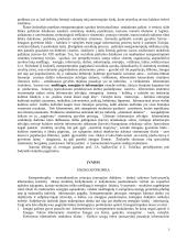 Energoentropinis ontologijos sąvokų žodynėlis 3 puslapis