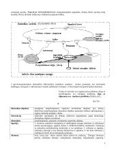 Energoentropinis ontologijos sąvokų žodynėlis 6 puslapis