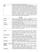 Energoentropinis ontologijos sąvokų žodynėlis 9 puslapis