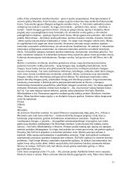 Estetikos objektas 11 puslapis