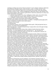 Estetikos objektas 12 puslapis