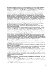 Estetikos objektas 13 puslapis