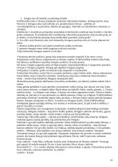 Estetikos objektas 14 puslapis