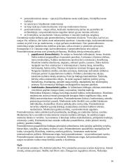 Estetikos objektas 16 puslapis