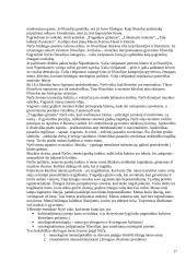 Estetikos objektas 17 puslapis