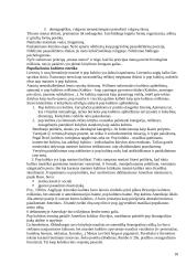 Estetikos objektas 18 puslapis