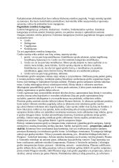 Estetikos objektas 3 puslapis