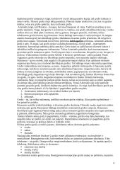 Estetikos objektas 4 puslapis