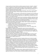 Estetikos objektas 7 puslapis