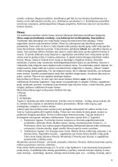 Estetikos objektas 8 puslapis