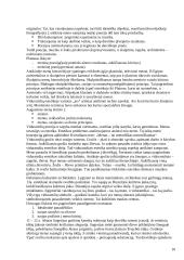 Estetikos objektas 10 puslapis