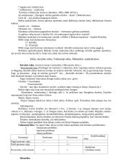 Filosofijos atsiradimas 11 puslapis