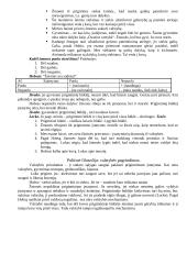 Filosofijos atsiradimas 14 puslapis