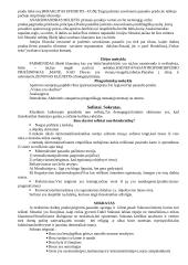 Filosofijos atsiradimas 4 puslapis