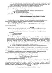 Filosofijos atsiradimas 5 puslapis